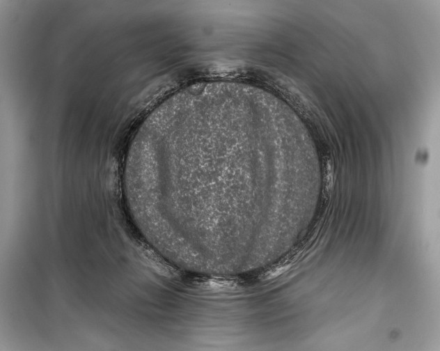 X0000099290270200805231327