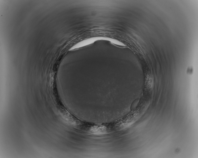 X0000099290271200805231327