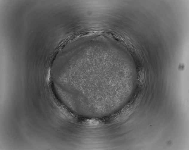 X0000099290272200805231327