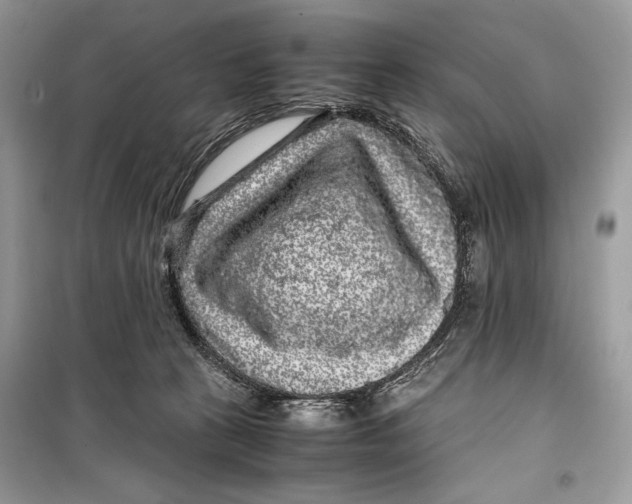 X0000099290273200805231327