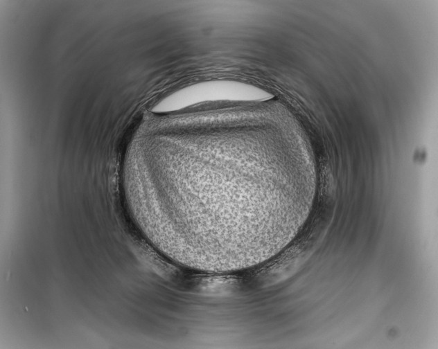 X0000099290274200805231327