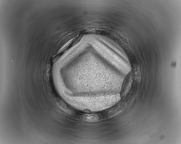 X0000099290275200805231327