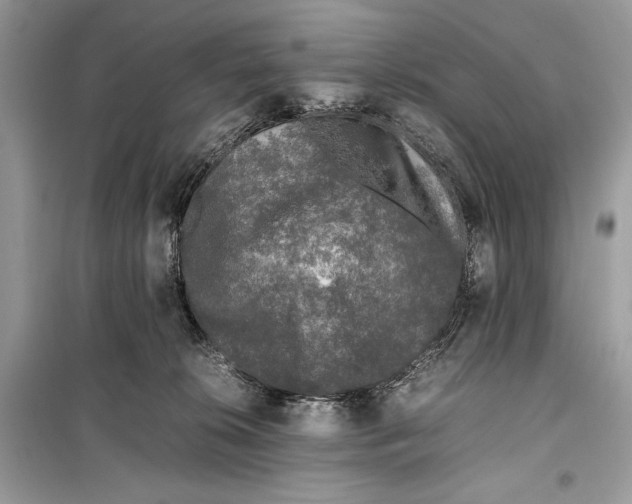 X0000099290276200805231327