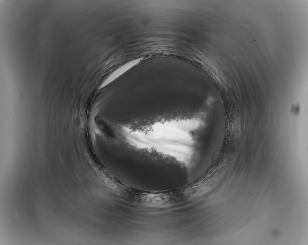 X0000099290277200805231327