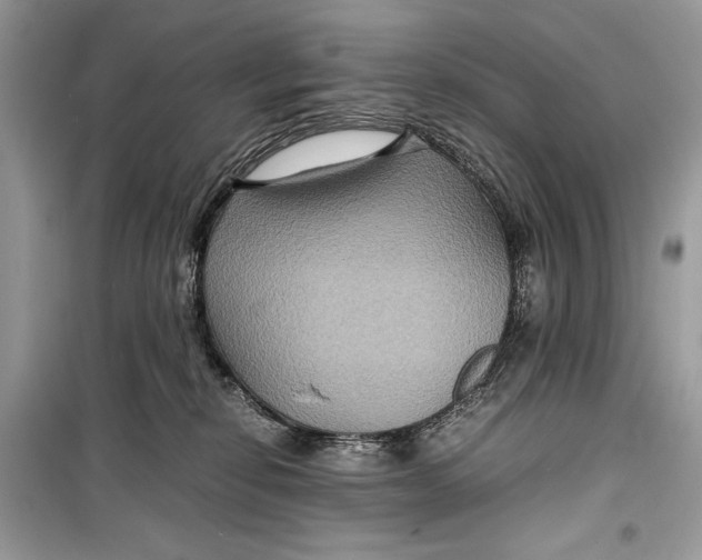 X0000099290278200805231327