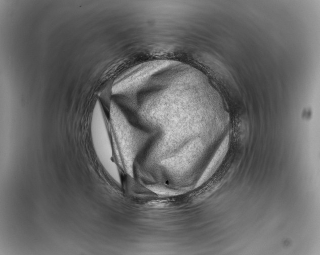 X0000099290280200805231327