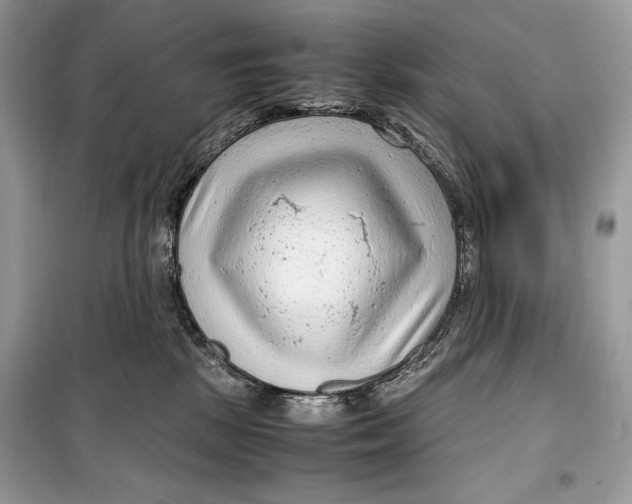 X0000099290281200805231327