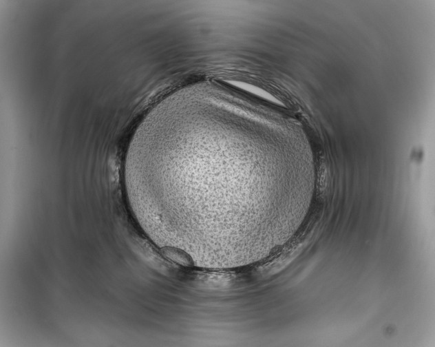 X0000099290282200805231327