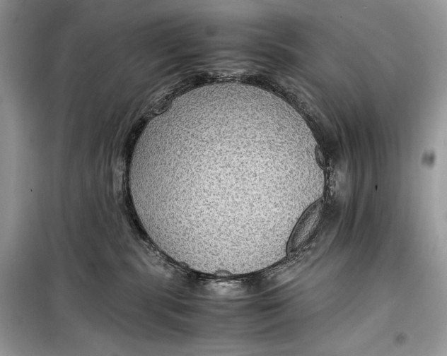 X0000099290283200805231327