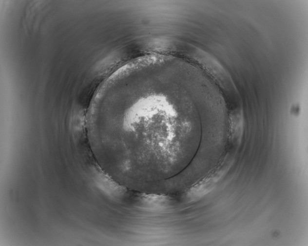 X0000099290284200805231327