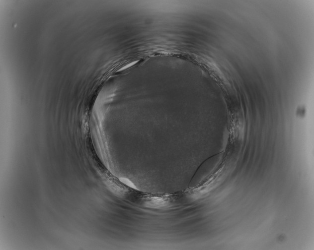 X0000099290285200805231327