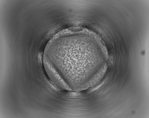 X0000099290286200805231327