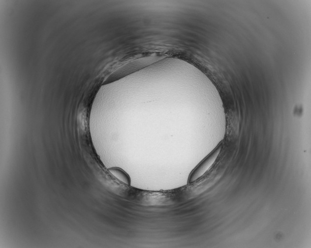 X0000099290287200805231327