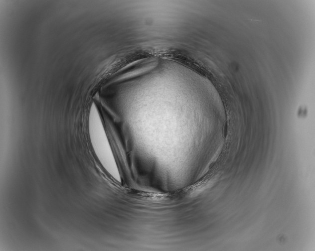 X0000099290288200805231327