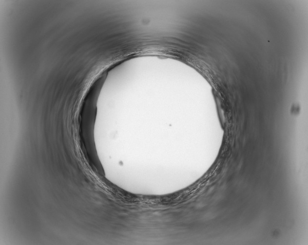 X0000099290289200805231326