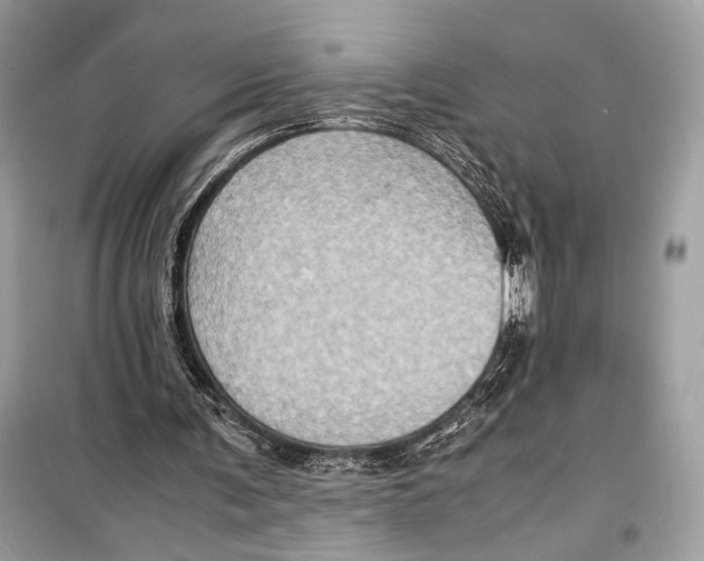 X0000099290291200805231326