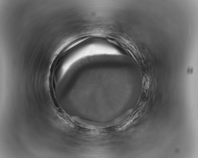 X0000099290292200805231326