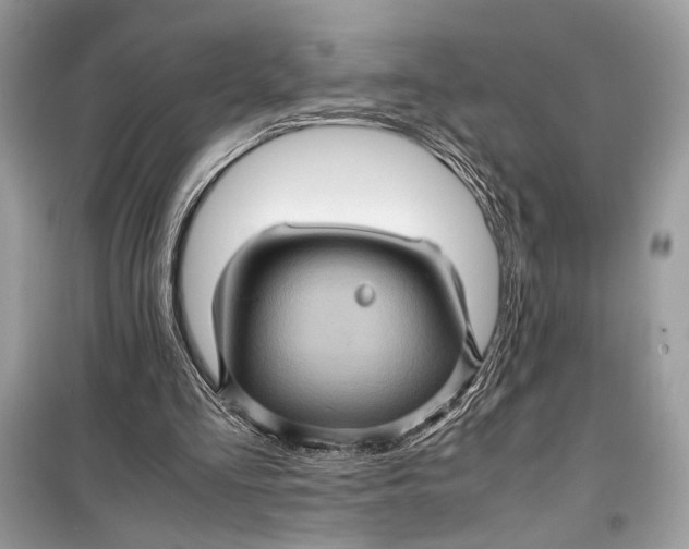 X0000099290293200805231326