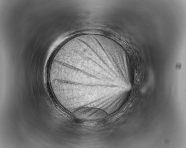 X0000099290294200805231326