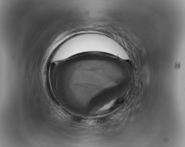 X0000099290295200805231326