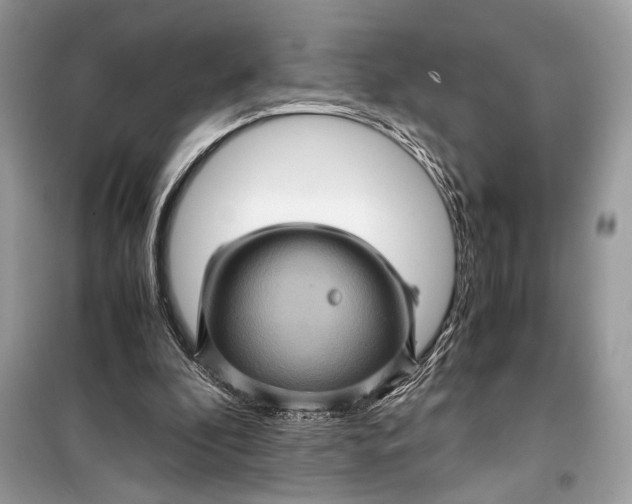 X0000099290296200805231326