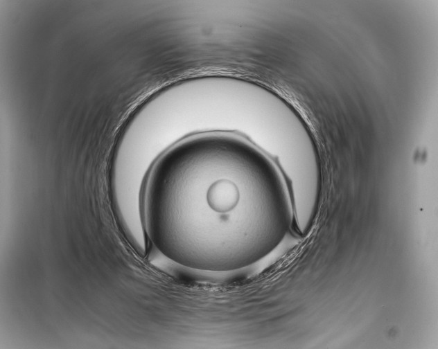 X0000099290297200805231326