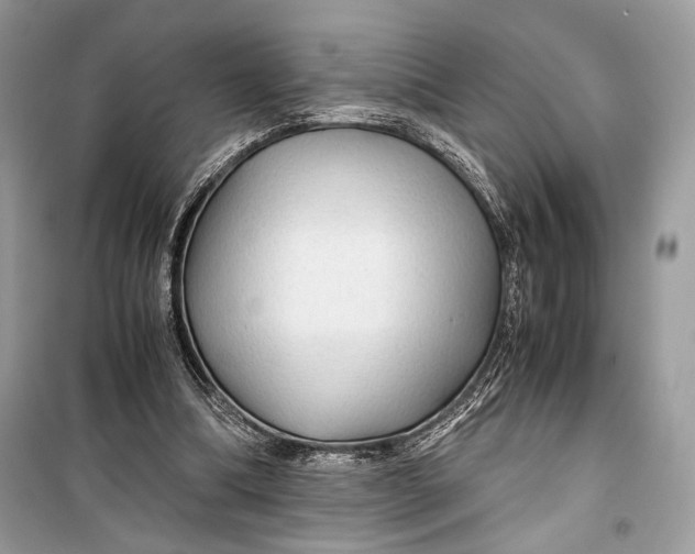 X0000099290298200805231326