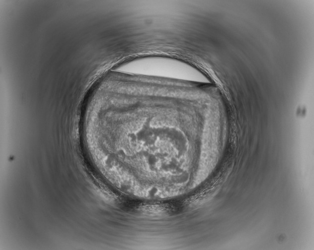 X0000099290299200805231326