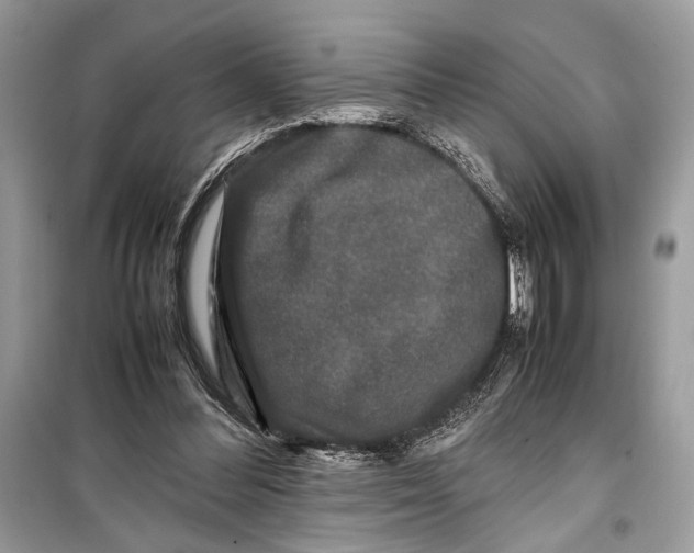 X0000099290300200805231326