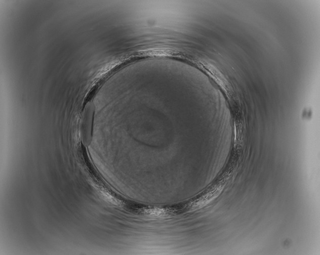 X0000099290301200805231326