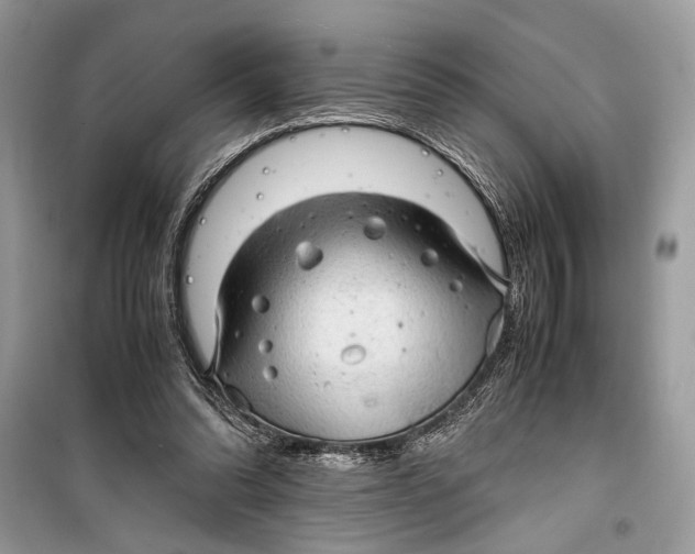 X0000099290302200805231326