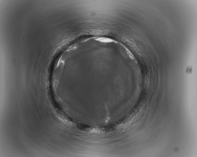 X0000099290303200805231326