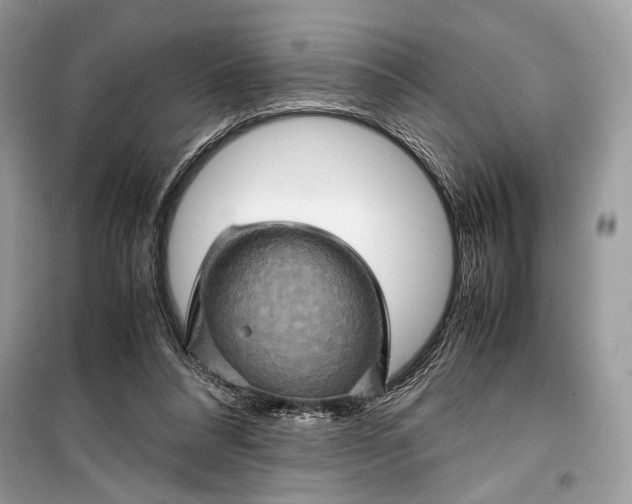 X0000099290304200805231326