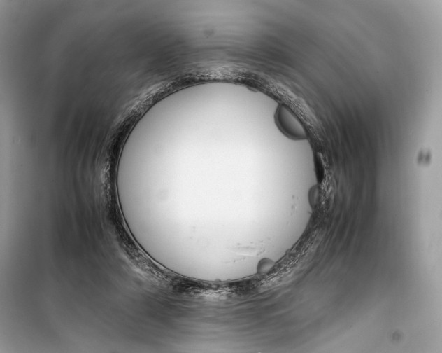 X0000099290306200805231326