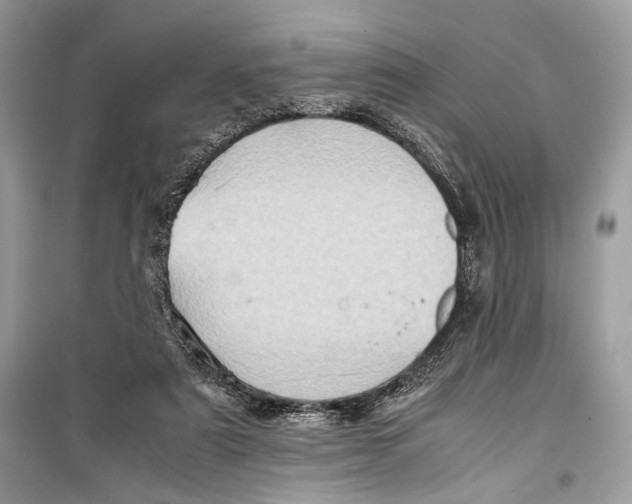 X0000099290307200805231326