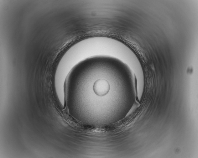 X0000099290308200805231326