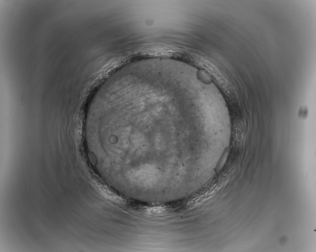 X0000099290309200805231326