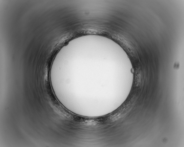 X0000099290310200805231326