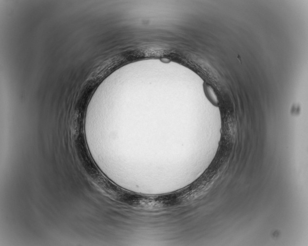 X0000099290311200805231326