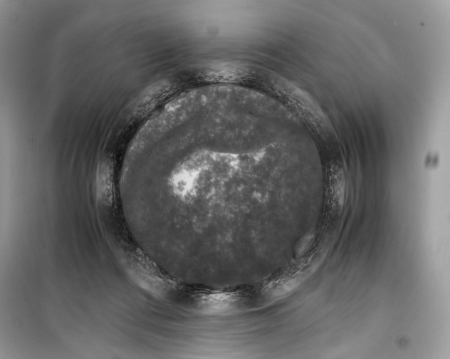 X0000099290312200805231326