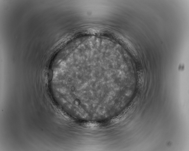 X0000099290313200805231326