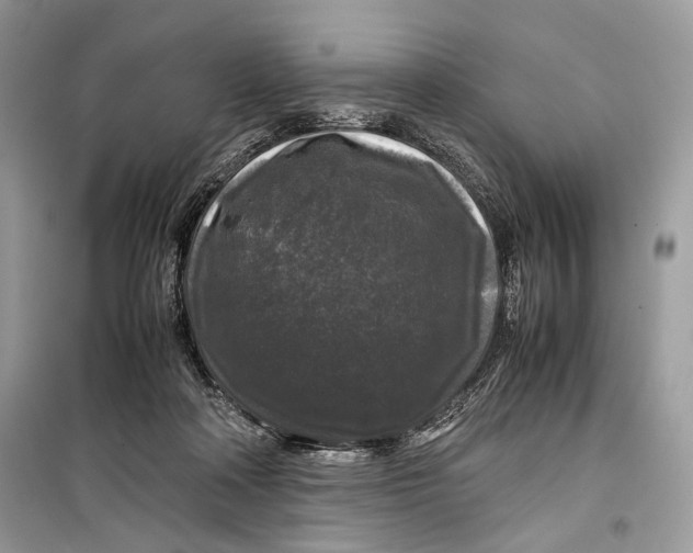 X0000099290314200805231326