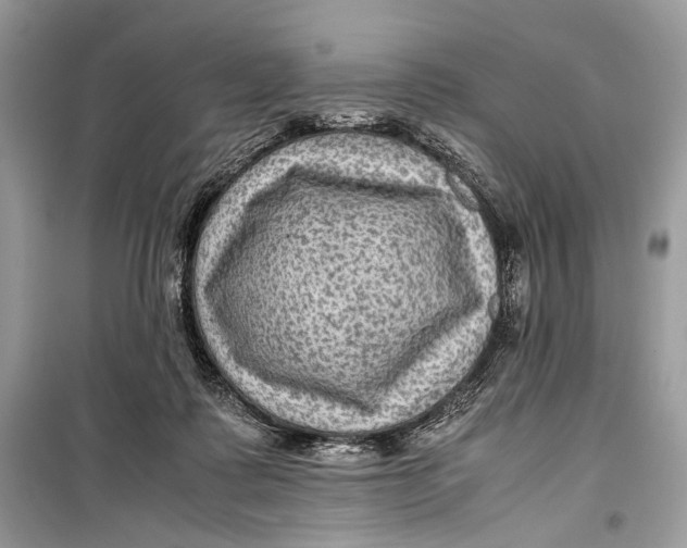 X0000099290315200805231326