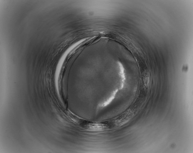 X0000099290316200805231326