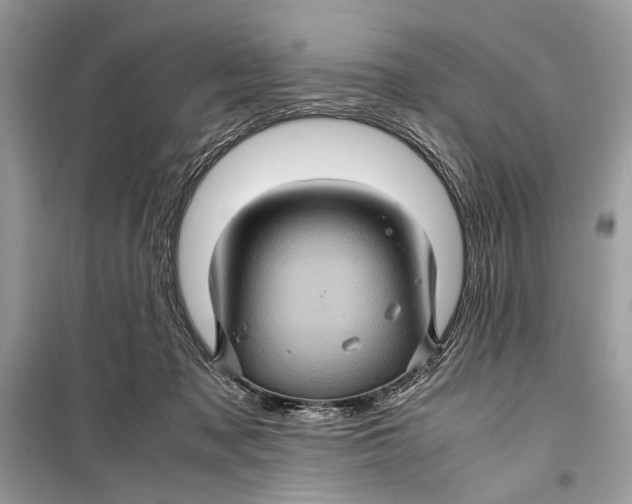 X0000099290317200805231326