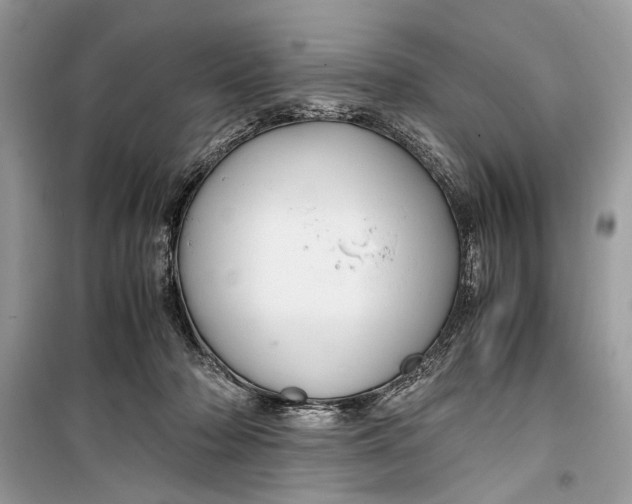 X0000099290318200805231326