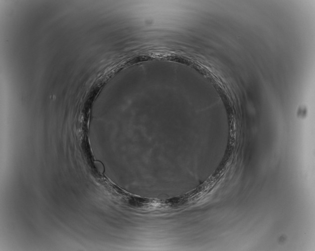 X0000099290319200805231326