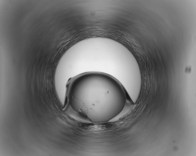 X0000099290320200805231326