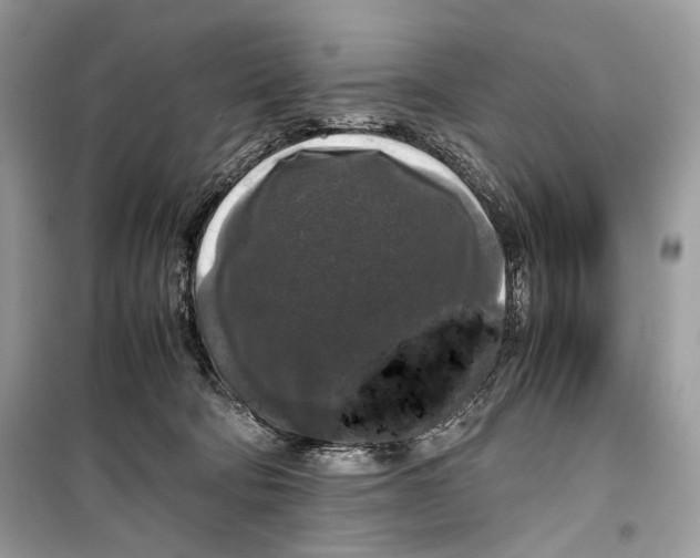 X0000099290322200805231326