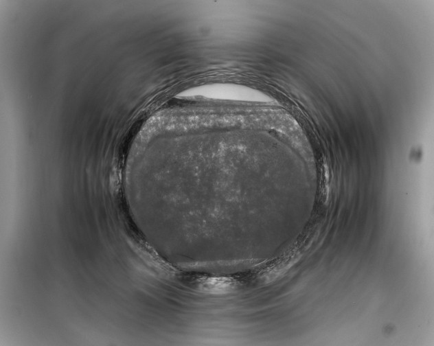 X0000099290324200805231326